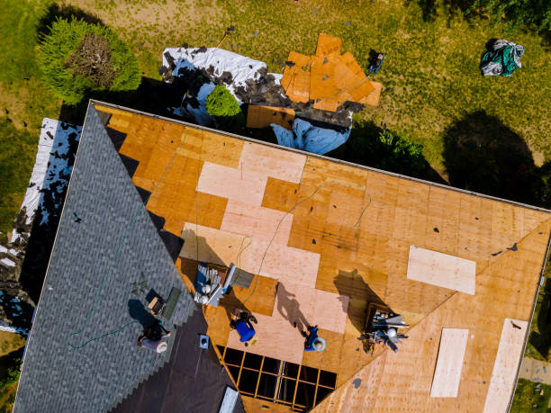 Best Roof Maintenance Services  in Dulles Town Center, VA