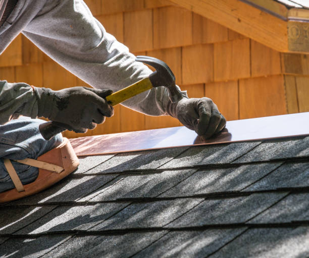 Best Roof Gutter Cleaning  in Dulles Town Center, VA